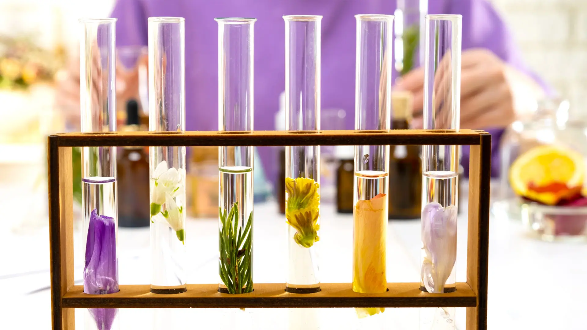 Avis parfums Mihi et sélection des meilleures senteurs